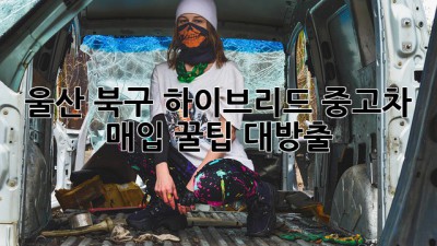 울산 북구 하이브리드 중고차 매입 꿀팁 대방출! 🚗💨
