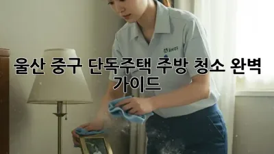 울산 중구 단독주택 주방 청소 완벽 가이드