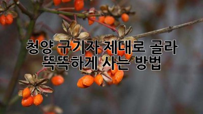 청양 구기자, 제대로 골라 똑똑하게 사는 방법!